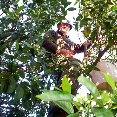 Penzion Arancia145