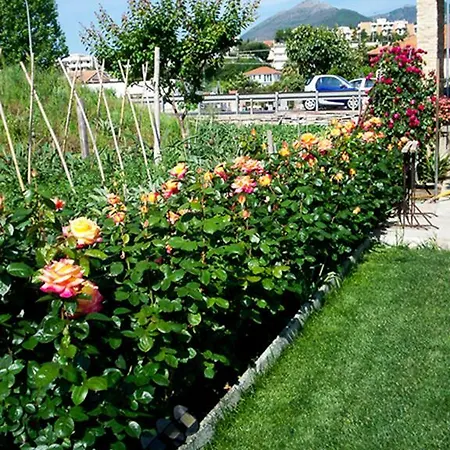 Arancia145 게스트하우스 4*