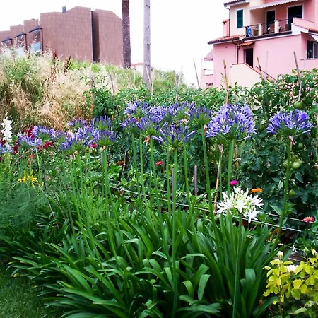 Arancia145 게스트하우스 4*