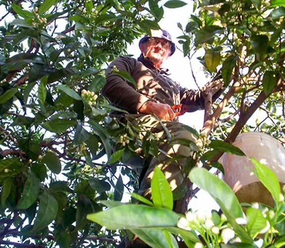 Гостевой дом Arancia145