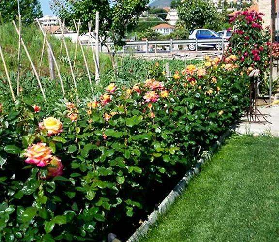 Arancia145 Гостевой дом 4*