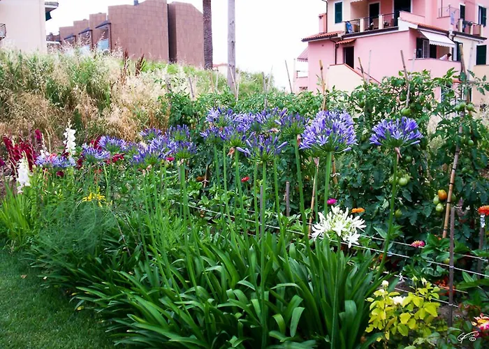 Arancia145 Гостевой дом 4*